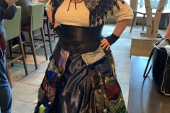 Skirt-In-use-2